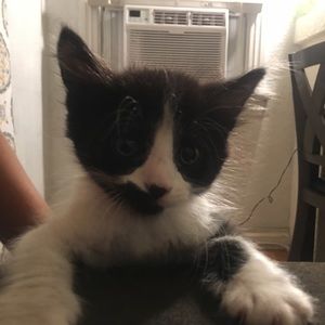 Meet your Posher, Mari